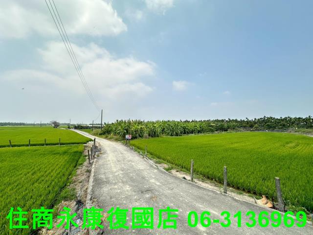 屏東農地-13