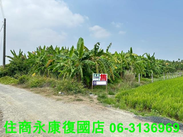 屏東農地-0