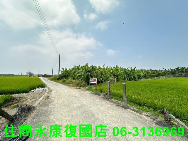 屏東農地-4