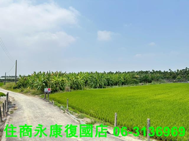 屏東農地-6