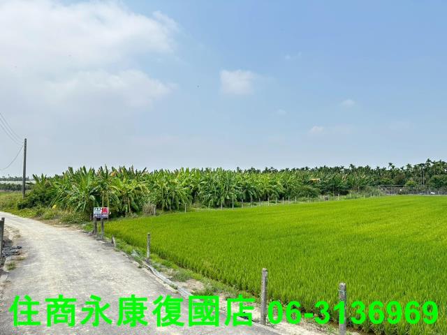 屏東農地-7