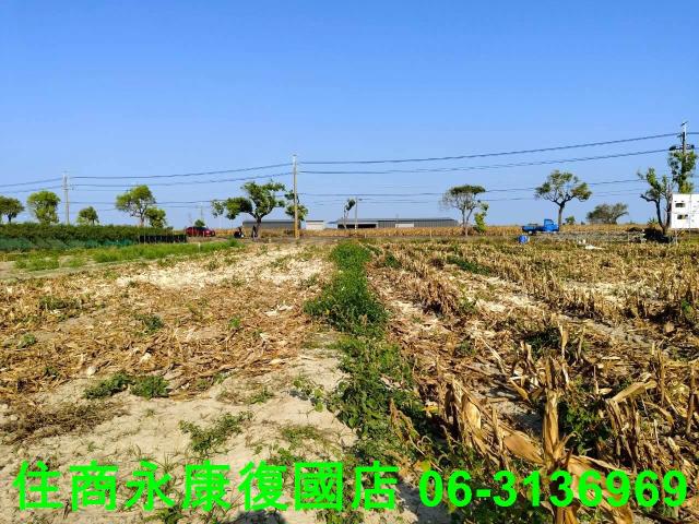 台南佳里農地-9