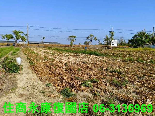 台南佳里農地-10