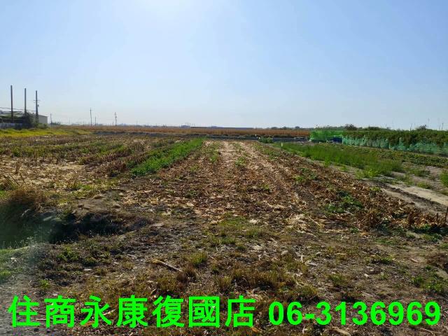 台南佳里農地-11
