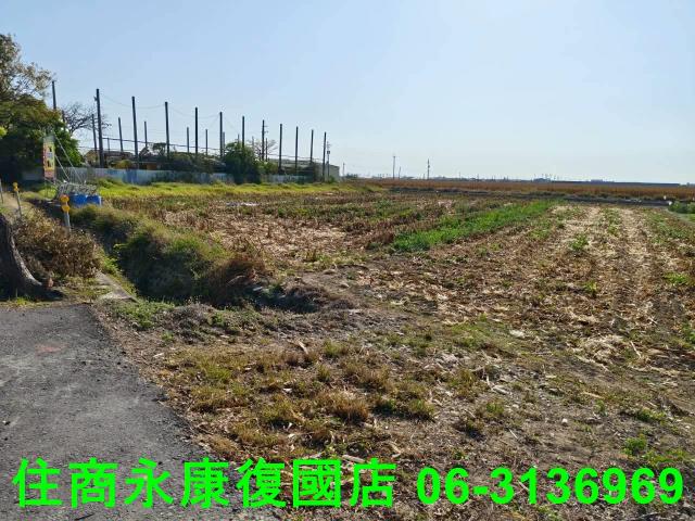 台南佳里農地-12