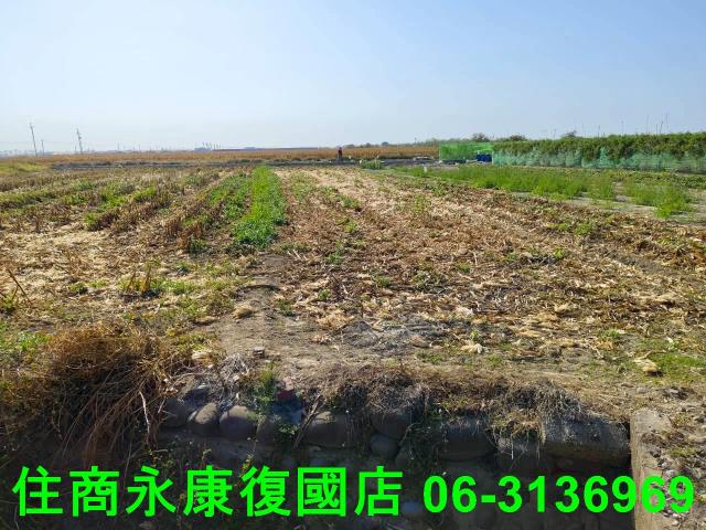 台南佳里農地-4