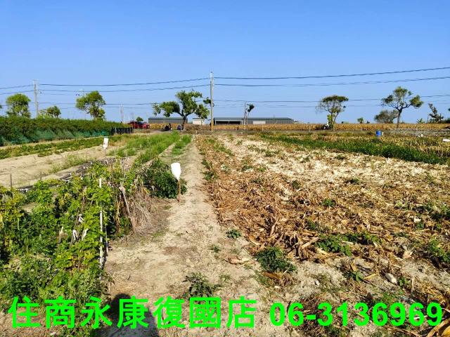 台南佳里農地-6