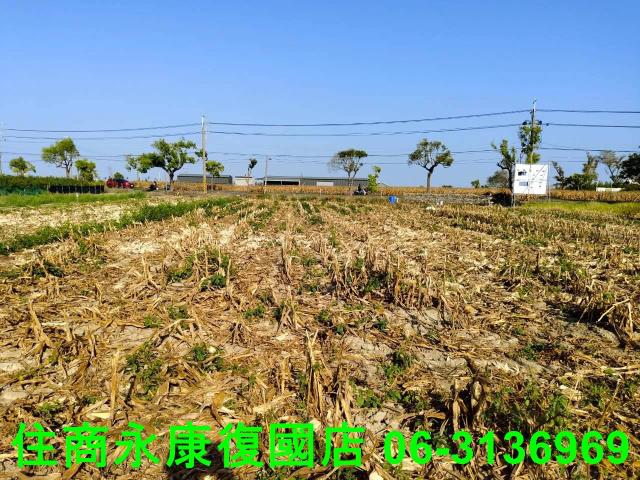 台南佳里農地-8