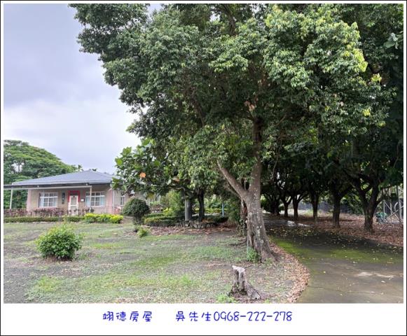 屏東高樹農地-10