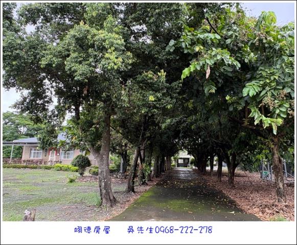 屏東高樹農地-14
