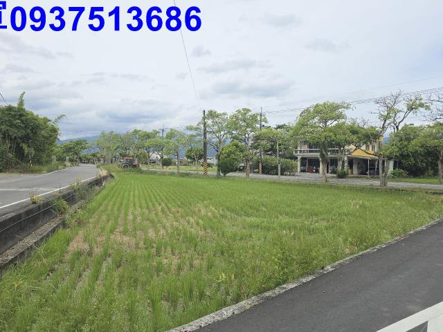 宜蘭宜蘭市農地-7