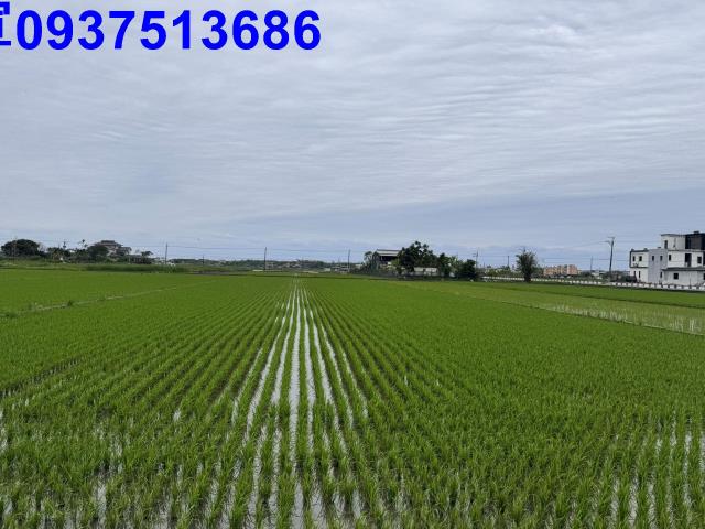 宜蘭壯圍農地-12