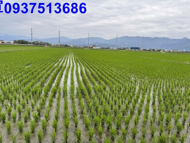 宜蘭壯圍農地-2