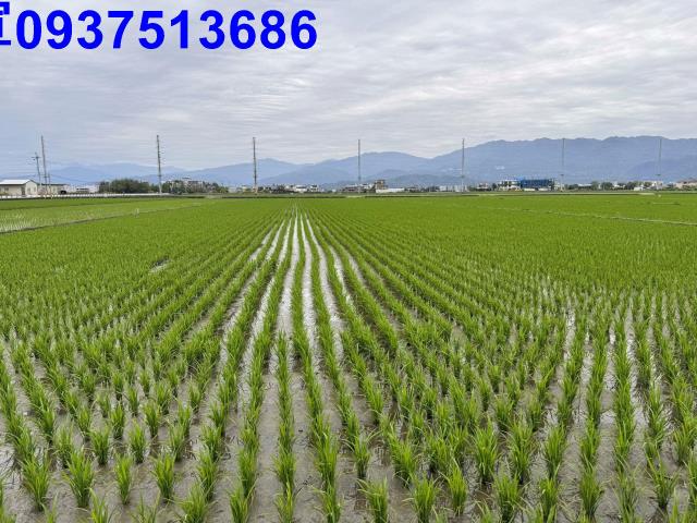 宜蘭壯圍農地-4