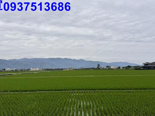 宜蘭壯圍農地-5