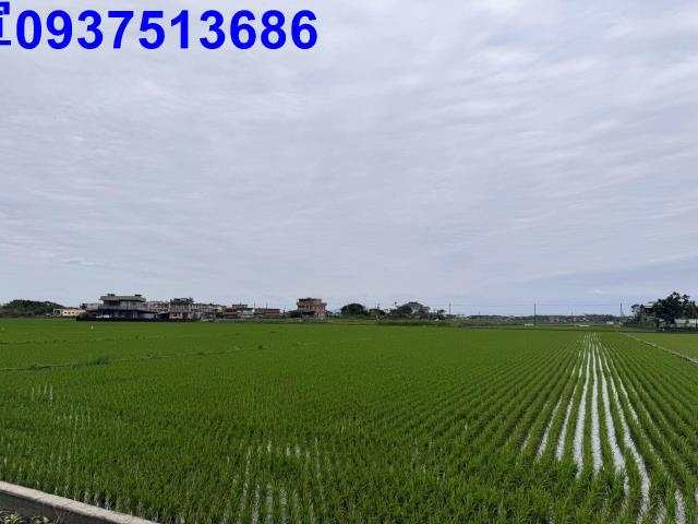 宜蘭壯圍農地-6