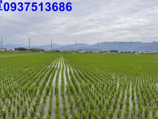 宜蘭壯圍農地-8