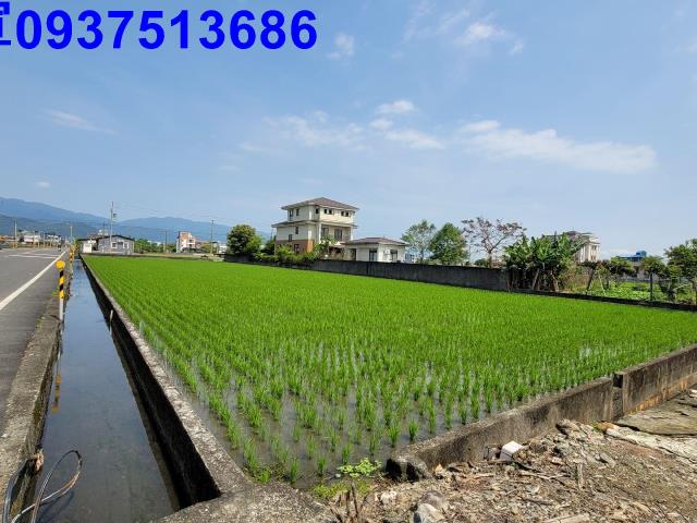 宜蘭員山農地-9