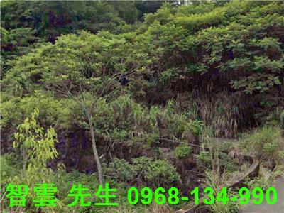 新北三峽工業地-0