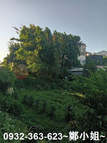 桃園平鎮農地-1
