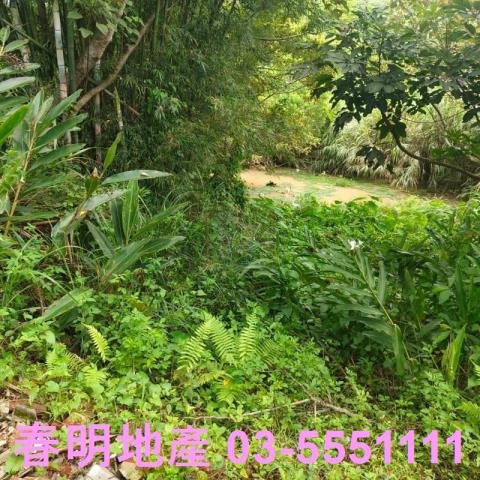 湖口農地-9