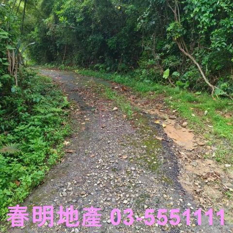 湖口農地-11