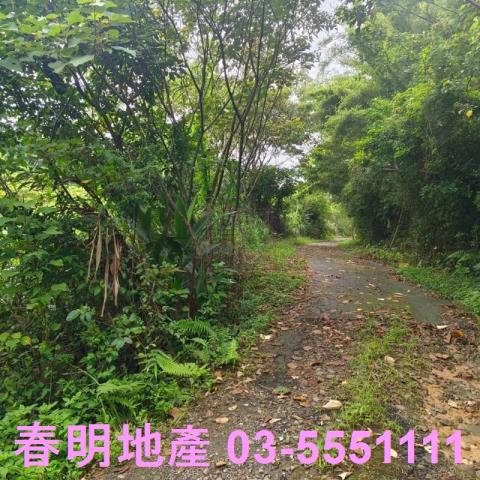 湖口農地-12