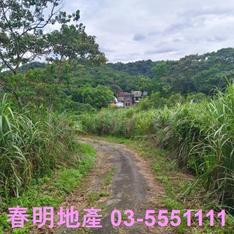 湖口農地-13