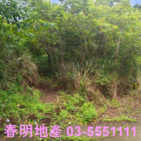 湖口農地-3