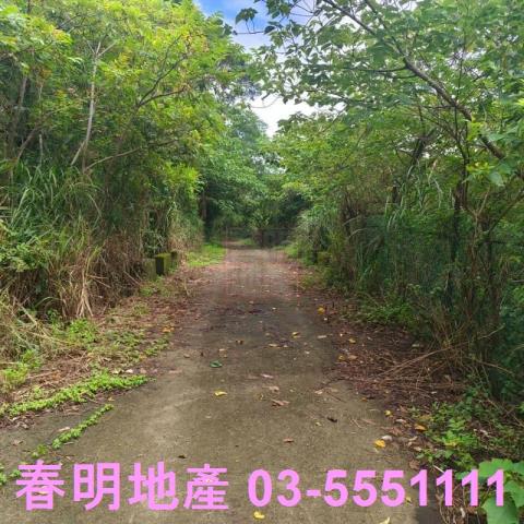 湖口農地-5