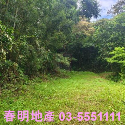 湖口農地-7
