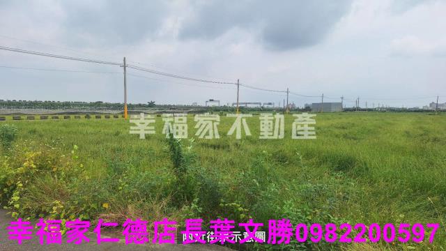 麻豆農地-11