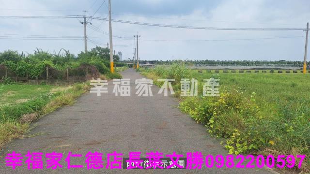 麻豆農地-14