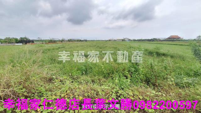 麻豆農地-0