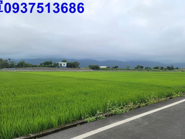 礁溪農地-8