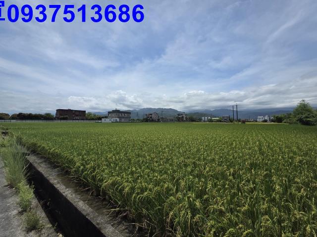 員山農地-13