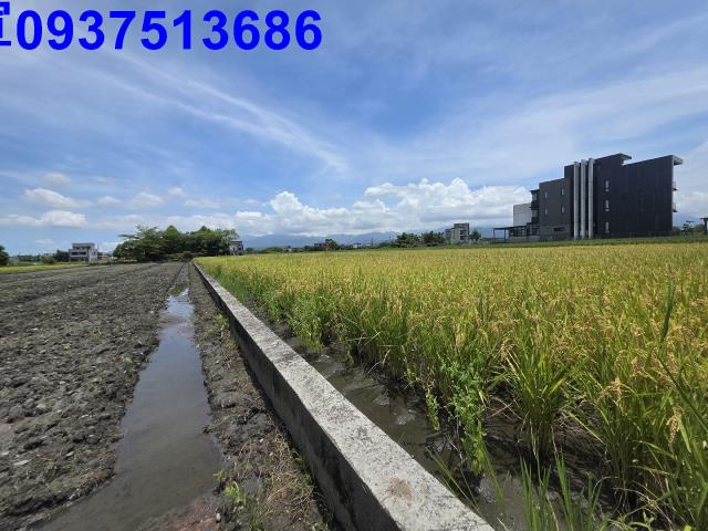 員山農地-4