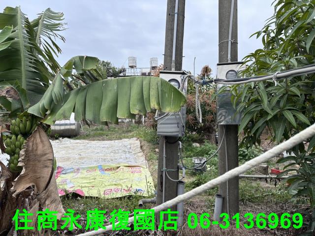 仁德農地-2