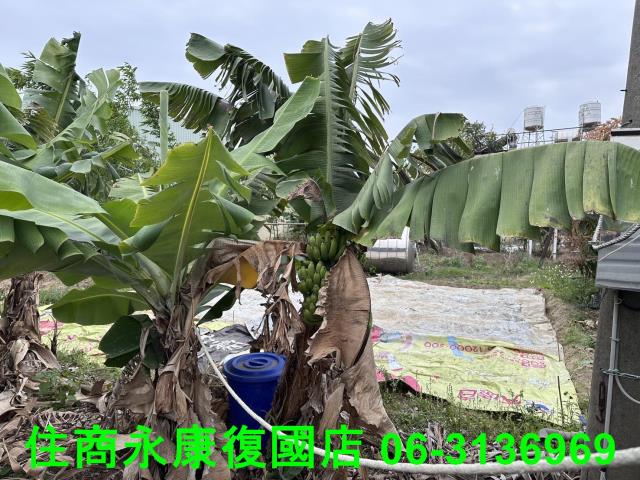 仁德農地-3