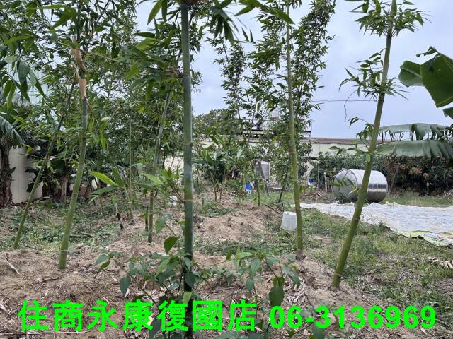 仁德農地-5