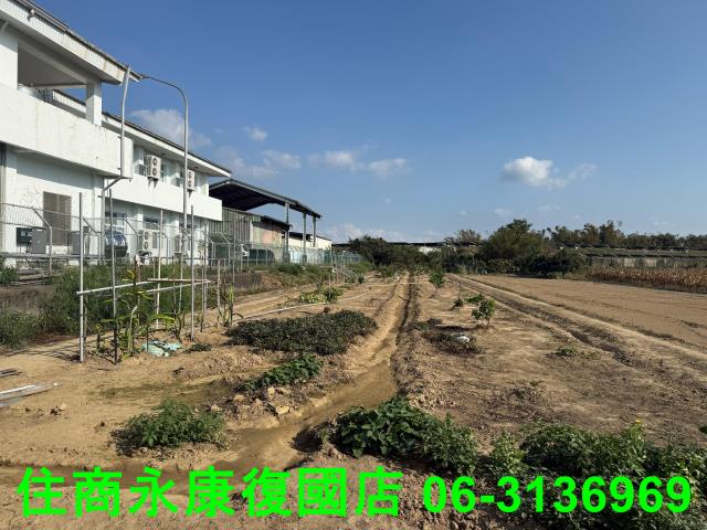 新市農地-3