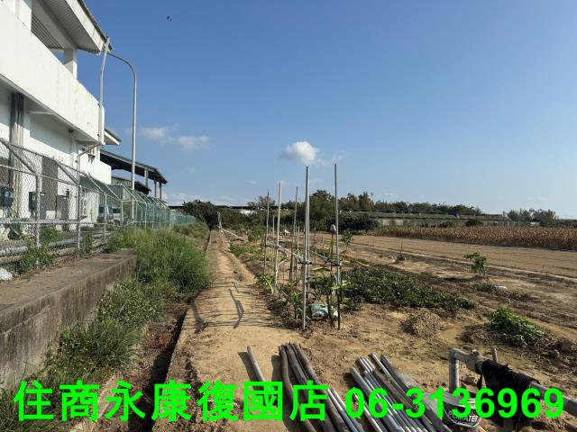 新市農地-5
