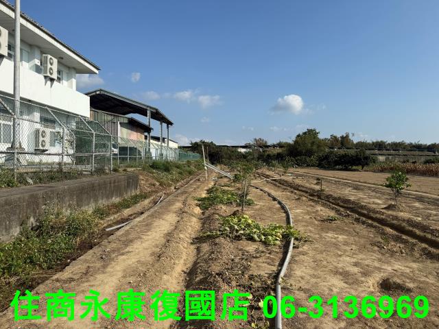 新市農地-6