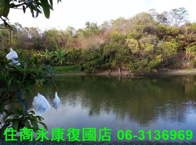 台南農地-9