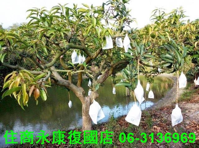 台南農地-10