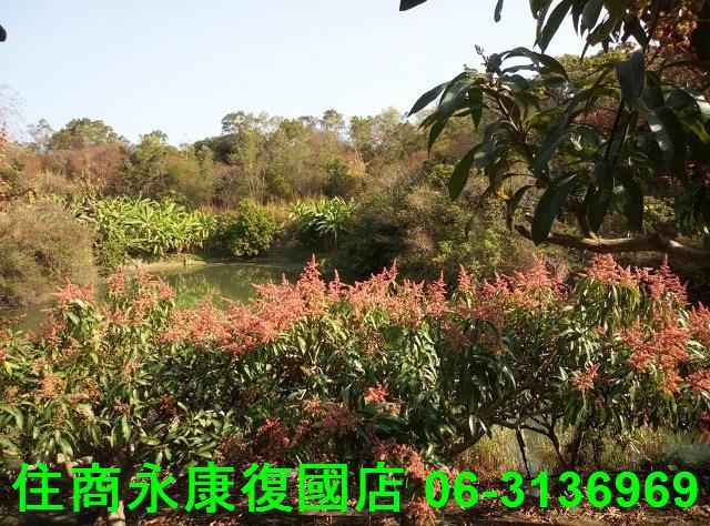 台南農地-0