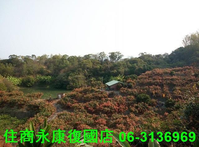 台南農地-1