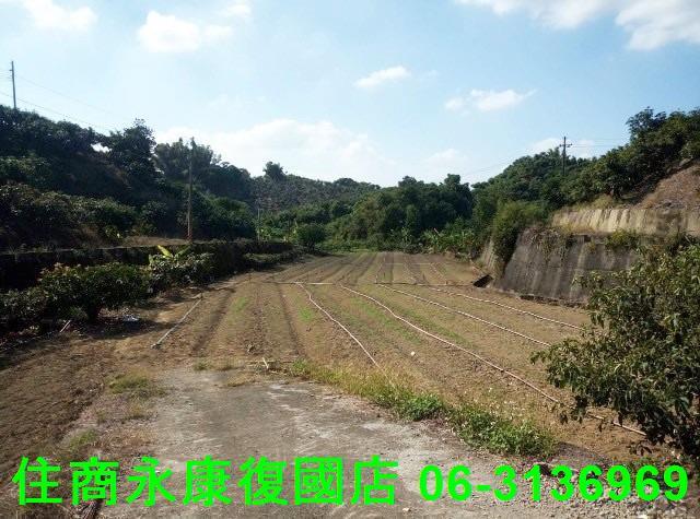 台南農地-3