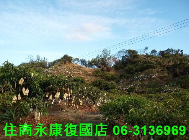 台南農地-8
