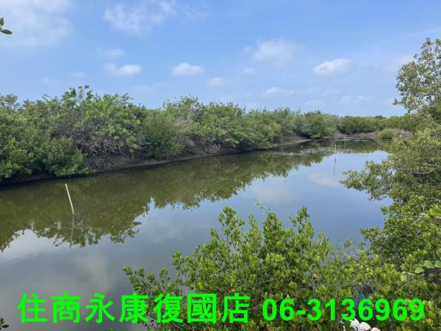 台南農地-4